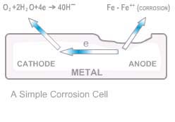 corrosion cell