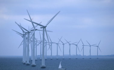Wind Farms